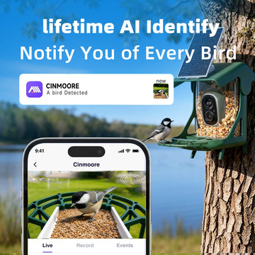 CINMOORE 2.5K Smart Bird Feeder with Camera – Solar Powered, AI Bird Identification & HD Live View